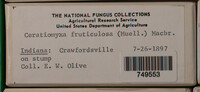 Image Associated With the Occurence